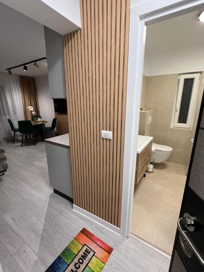 Oxana Apartments - 3 Camere - Timişoara Exteriör bild