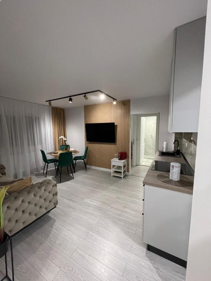 Oxana Apartments - 3 Camere - Timişoara Exteriör bild