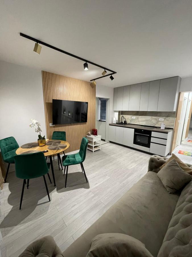 Oxana Apartments - 3 Camere - Timişoara Exteriör bild