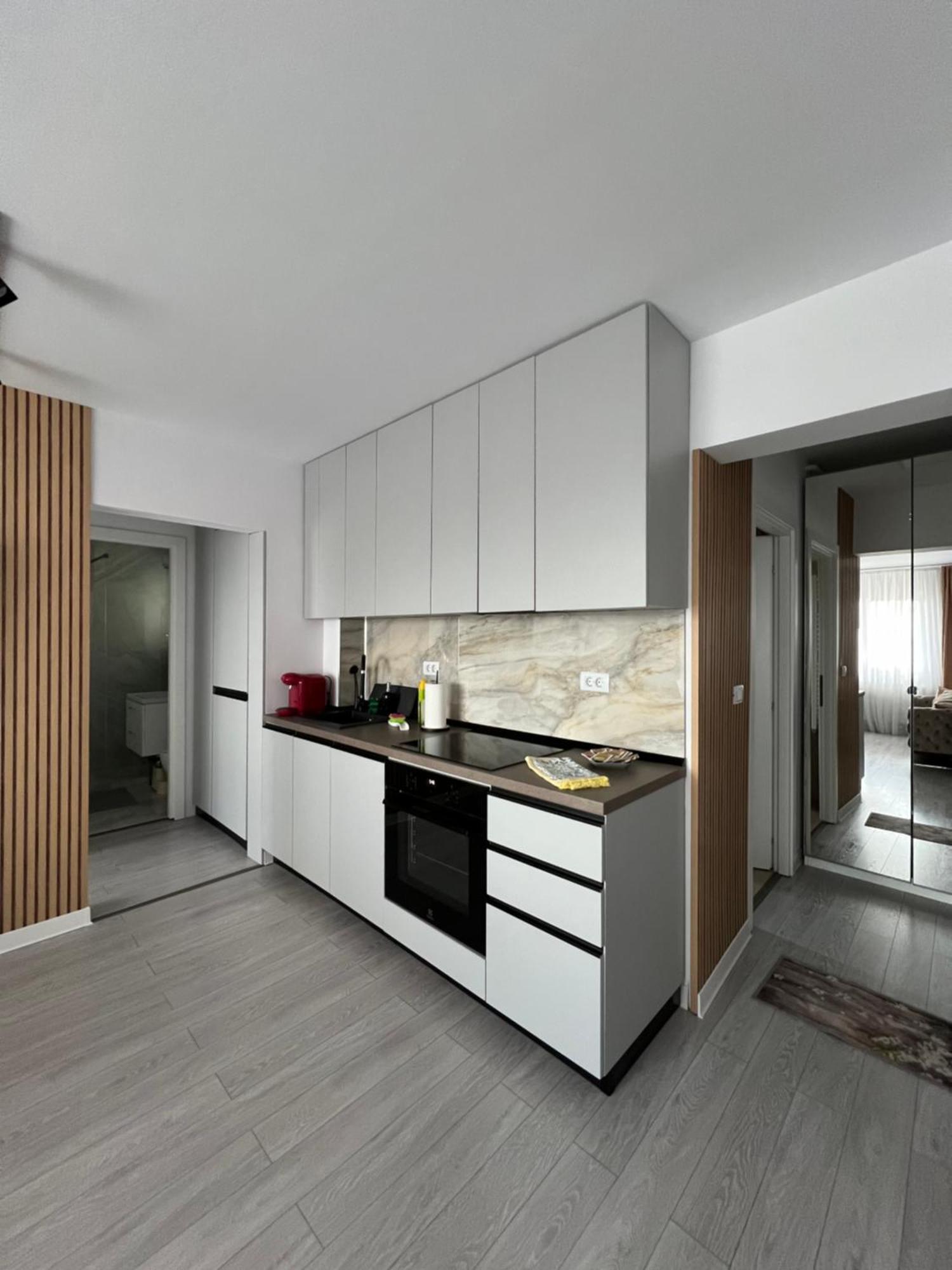 Oxana Apartments - 3 Camere - Timişoara Exteriör bild